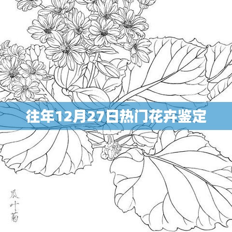 鸟语花香 第3页
