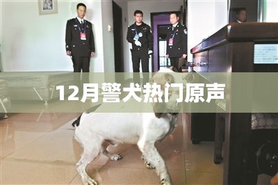 大雅君子 第3页