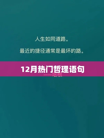 林下风气 第3页