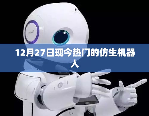 12月27日，仿生机器人的最新热门趋势
