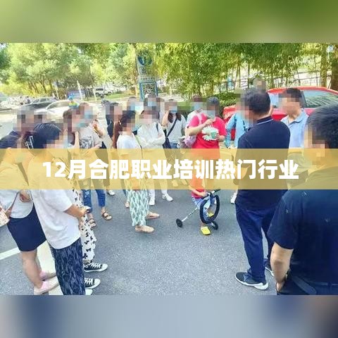 合肥十二月职业培训热门行业揭秘