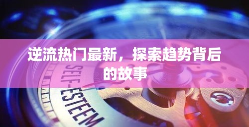 逆流热门背后的故事探索，最新趋势揭秘