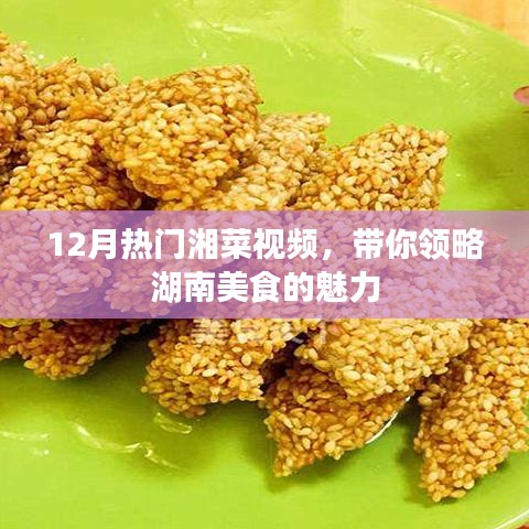 湘菜美食视频来袭，领略湖南风味魅力