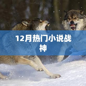 12月必读热门小说战神