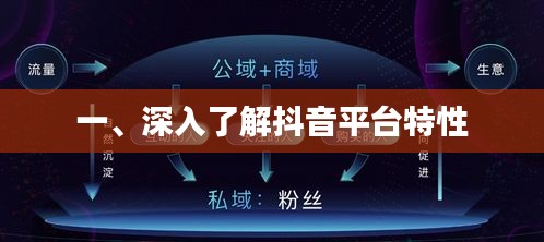 抖音平台特性深度解析