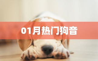 比张比李 第3页