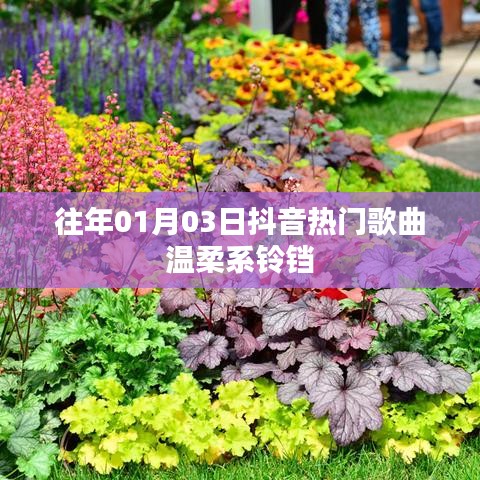 抖音温柔系铃铛热歌盘点
