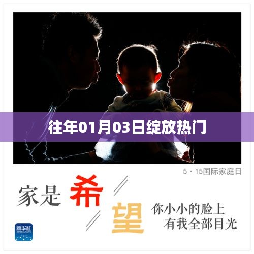 往年元旦后绽放热门风采