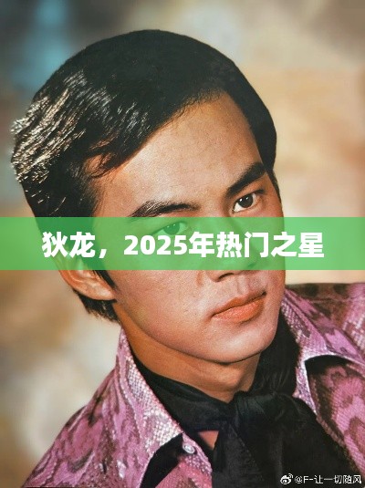 狄龙，未来之星，2025年瞩目之选