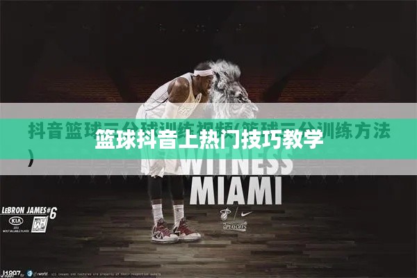 篮球抖音热门技巧，轻松吸引粉丝关注教学