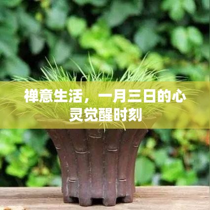 禅意生活，一月三日的内心觉醒时刻