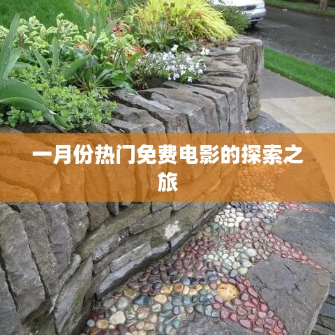 一月份热门免费电影探索之旅，不容错过！