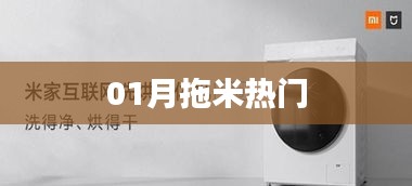 一月拖米热点速递