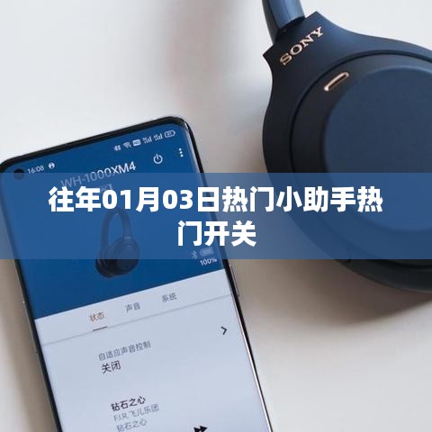 百不获一 第3页