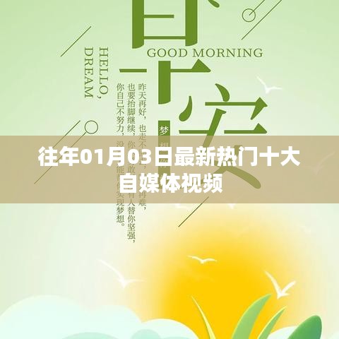 热门自媒体视频榜单TOP10揭晓，精选内容回顾