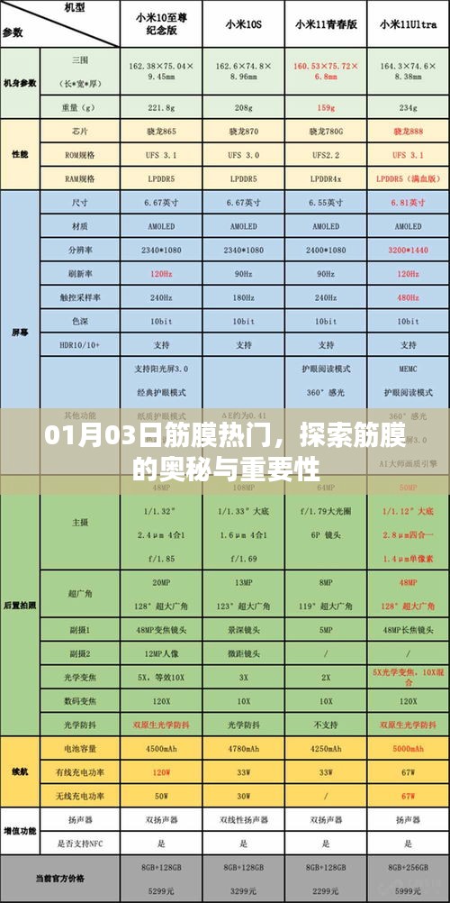 夫荣妻贵 第3页