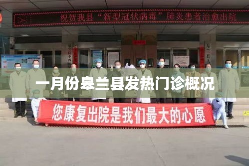 皋兰县一月份发热门诊情况概览