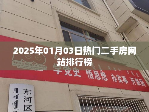 笨鸟先飞 第3页