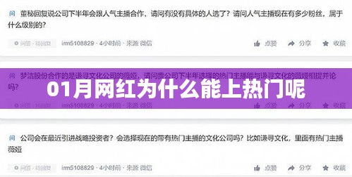 网红上热门的原因解析