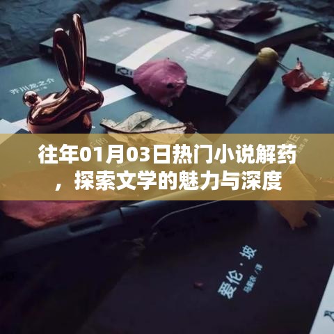 探索文学魅力与深度，热门小说解药回顾