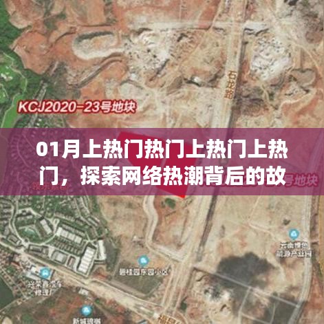 百不得一 第3页