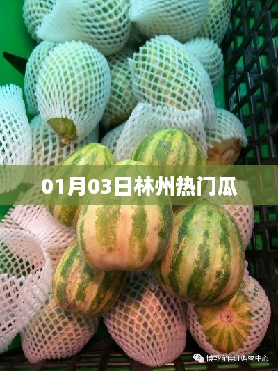 林州最新热门事件揭秘，一月三日热议瓜