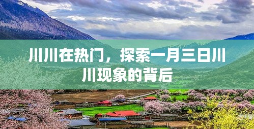 揭秘川川现象背后的秘密，一月三日川川为何如此热门？