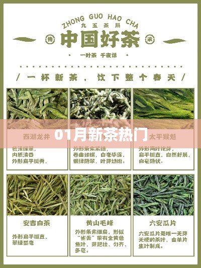 普度众生 第3页