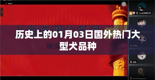 国外大型犬品种历史，一月三日回顾