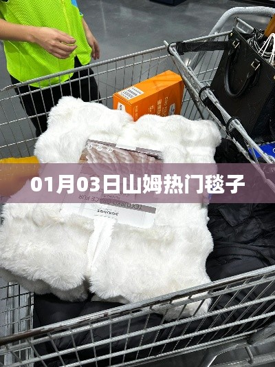 山姆热门毯子，温暖之选，时尚之选