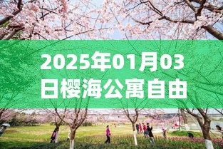 樱海公寓自由行指南，精选攻略助你畅游2025年新春