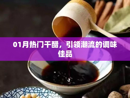 热门干醋引领潮流，调味佳品尝鲜必备