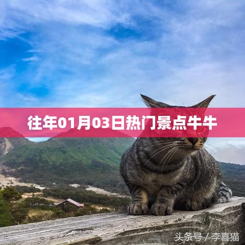 「往年元旦热门景点牛牛大赏」