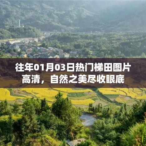 往年元旦梯田美景高清图集，自然景色尽收眼底