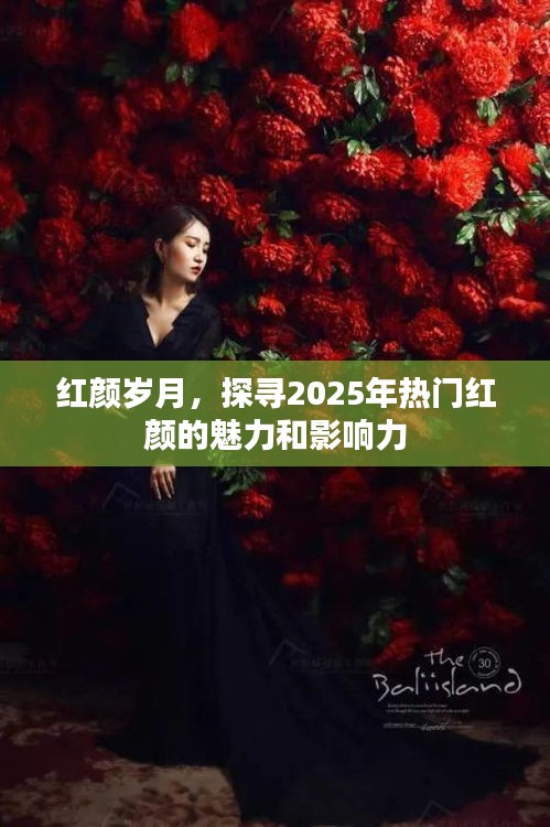 红颜岁月，探寻未来热门红颜的魅力和影响力