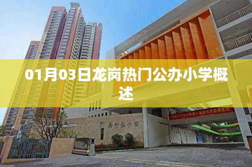 龙岗热门公办小学概览，01月03日最新介绍