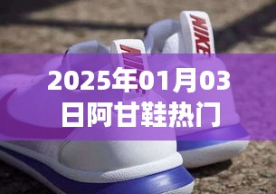 阿甘鞋在2025年1月3日掀起热潮！