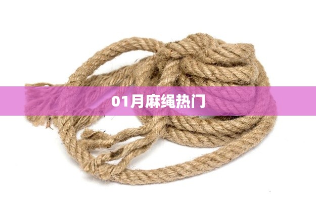 麻绳热门风潮揭秘，一月热议焦点