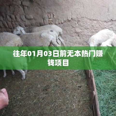温柔敦厚 第3页