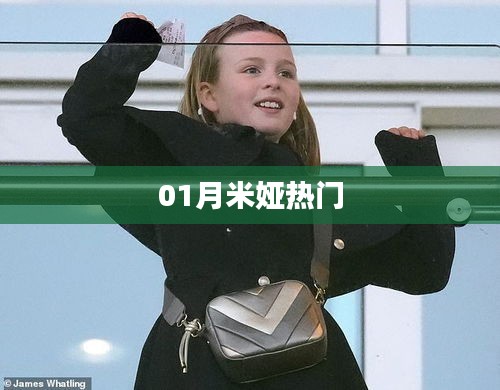 米娅一月热点聚焦