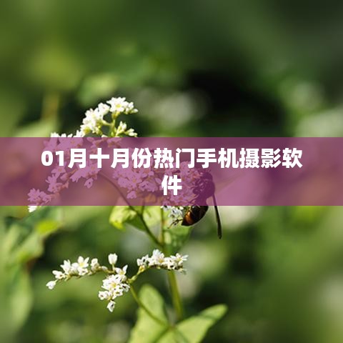 一月份手机摄影软件大揭秘，热门应用盘点