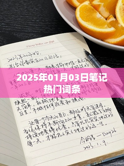 『2025年1月3日笔记热点词条概览』
