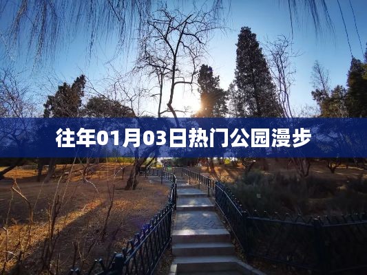 『往年元旦后公园漫步，感受自然之美』