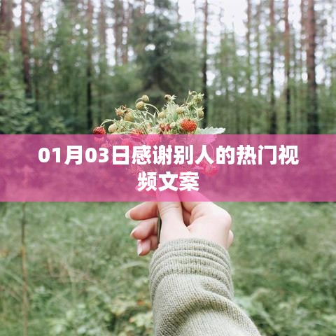 热门视频文案，感恩有你，温馨瞬间永存心间