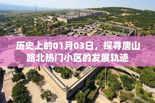 鸟面鹄形 第3页
