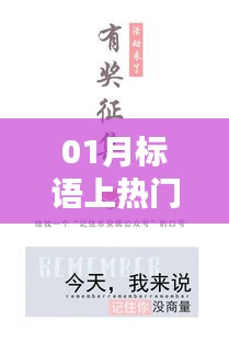 新年新气象，热门标语来袭！