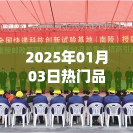 2025年热门品种价格走势分析