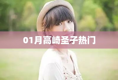 01月高崎圣子话题热议
