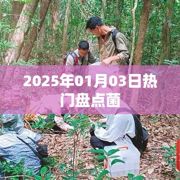天南地北 第3页