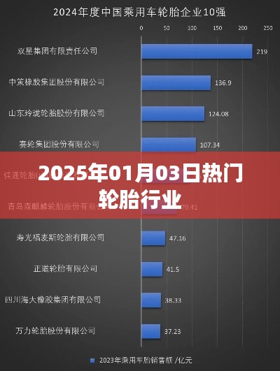 轮胎行业热点聚焦，2025年展望